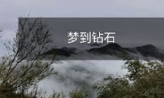 闪闪发光的梦境:探寻钻石的神秘世界