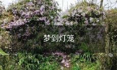 在梦中遇见了缤纷灯笼,充满神秘和梦幻的场景如此美妙