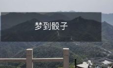 的含义是什么?- 解密梦境中的骰子象征意义