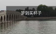 今夜梦中购物之旅:一个稀奇古怪的故事,描述作者梦见去商场购买杯子的经历