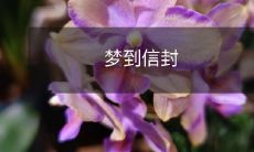 今晚我做了一个不可思议的梦,梦见了一个饱满的信封,里面充满了惊喜与希望!