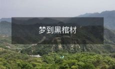 的意义是什么?从神秘学和心理分析角度探讨梦境中的黑棺材象征及其可能的象征意义