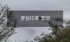 在梦中见到官印印章