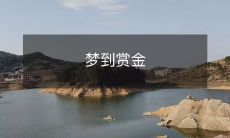 翻盘励志小说:主角梦到赏金,被赶出家门,历经苦难,最终创造辉煌!