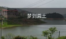 睡眠中的奇遇:我居然梦到了被困在大片粪土中的荒凉世界