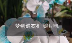 进入梦境,与缝衣机有了不解之缘的故事