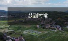 梦见自己穿着一条美丽优雅的衬裙行走在风景如画的大街小巷中的深刻心理体验