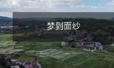 拂过我的面颊,如晨雾般轻柔,梦中面纱的美妙景象