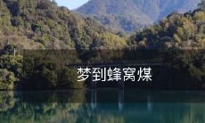 做梦时遇见蜂窝煤,觉醒后探究这种煤的特性和用途