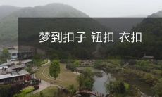 在梦中见到扣子、钮扣或衣扣的意义及可能的象征意义是什么?