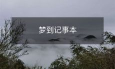 在梦中看到的记事本,记录了无数个意想不到的故事和情节!