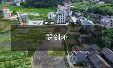 感悟人生的美妙之旅:我如何在逆境中梦见一枝利矛,寻找内心的勇气和信念?