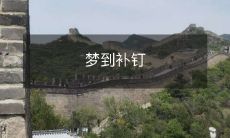 夜晚的梦境:我在梦中努力补钉,拼命修补破烂的物品,寓意何等深刻?