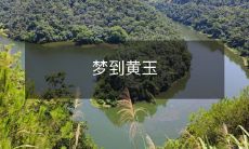 梦中见到的黄玉是什么意义?你的梦境暗示了什么信息?探究梦境符号的含义与可能解读!