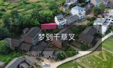 在夜晚中梦见自己手持干草叉,穿越草原寻觅未知之物的奇妙之旅