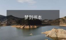 梦中见到书本,梦眠之际与书香相遇,徜徉在字海中感受知识与智慧的浸润