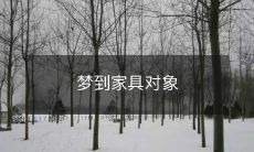 如何分析您在梦中出现的家具对象并揭示潜意识的信息?