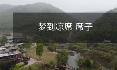 为何象征着夏日冷清的暮色之中亟待解开的深意?