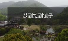 我梦到自己在街上捡到一个精致的镜子,感觉非常幸运和满足