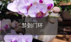 今晚我做了一个奇怪的梦,梦见了一扇漂亮的门,门钮如玉,门环如金,不断传来清晰的叮咚声,仿佛在召唤着我——梦到门环,引我探秘未知的奥秘