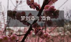 入梦扰心,醉意沉醉,肆意纵欲的梦幻酒肉盛宴