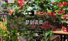 一场梦幻之旅:迷失在裘皮羽绒应季时尚中的心境体验