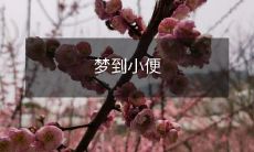 晚上做梦,偶然梦见小便的情景:关于梦境中尴尬场景的反思和解读