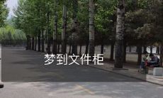 里的重要文件不见了:梦境中遗失重要文件柜内容