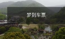 在梦中梦见自己的车票:预示着你的未来将出现一些重要的变化以及需要做出一些关键的决策,因此需要更加审慎地思考和计划