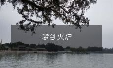 忽然发现自己沉浸在梦境之中:火炉张开大口,热力涌出,周围手忙脚乱的人群交替走动,情景神奇动人!
