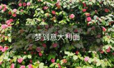 的想法引发的烹饪灵感——在睡梦中探索意大利面之美味,探究自己内心烹饪天赋的启示