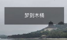 沉浸在梦境之中,弥漫着木桶的气息:探索着梦幻木制品的神秘世界