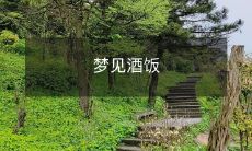 在睡梦中经历的美妙时刻:我梦见了一桌丰盛的酒饭!