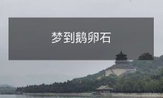 在睡梦中遇见鹅卵石:探索梦境中宝石的象征意义