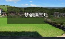 昨晚做梦梦到煤气灶,我该怎么理解?