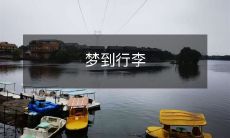 在梦中遇见自己的行李,但不知道该如何拿起它,并感到自己在旅途中徘徊不定的奇怪经历!