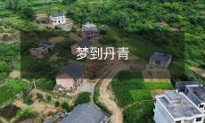 今晚我竟然做了一个长长的梦,梦里我置身于一幅精美绝伦的丹青之中!