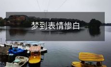 今晚我梦到了一个令人不安的情景,主题是表情惨白,令人感到深深的不安与紧张