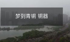 在梦境中体验青铜铜器的历史、文化和美学魅力