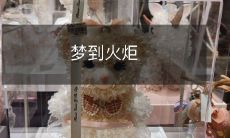 在梦中看到一只熊熊燃烧的火炬,闪耀着光芒,并且带给人们神秘而不可思议的感觉