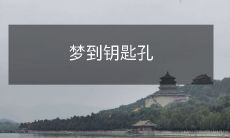 的寓意是什么?玩味梦境中的细节,解读心灵深处的象征意义!