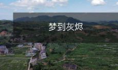 梦中探索废墟:被灰烬所笼罩的故事