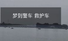 在梦中遇到警车和救护车:探究梦境中警车救护车的象征意义及影响因素