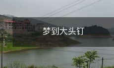 在梦中遇见巨大的大头钉:一个令人印象深刻、活灵活现的梦境故事