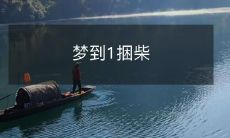 木棍,一位男子的奇幻之旅:跟随他的梦境寻找解释和启示