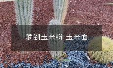 制作过程详细解析:从玉米的种植到加工,揭秘玉米面的制作过程