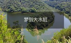 睡梦中的奇妙景象:穿越浩瀚大洋,遇见巨大的水缸,感受深邃的内涵!