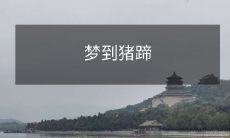 在睡梦中遇到食欲诱惑,浮现出美味猪蹄的幻象