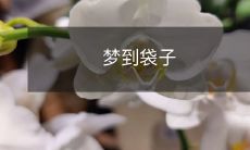 朦胧的睡梦中,我竟然梦见了一个装满各种各样物品的袋子!