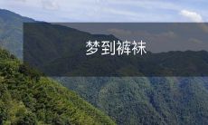 梦见自己穿着各式裤袜,分别象征不同的人生经历和个性特质的深层含义